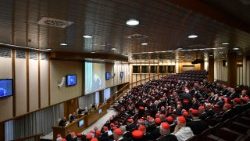 2025.05.05 10Âª Congregazione Cardinali