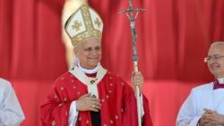 Pope Leo XIV leads the Regina Caeli prayer in St. Peter's Square at the Vatican on the Solemnity of Pentecost